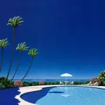 bXcVvi