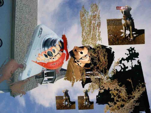 c5MzOM.jpg
