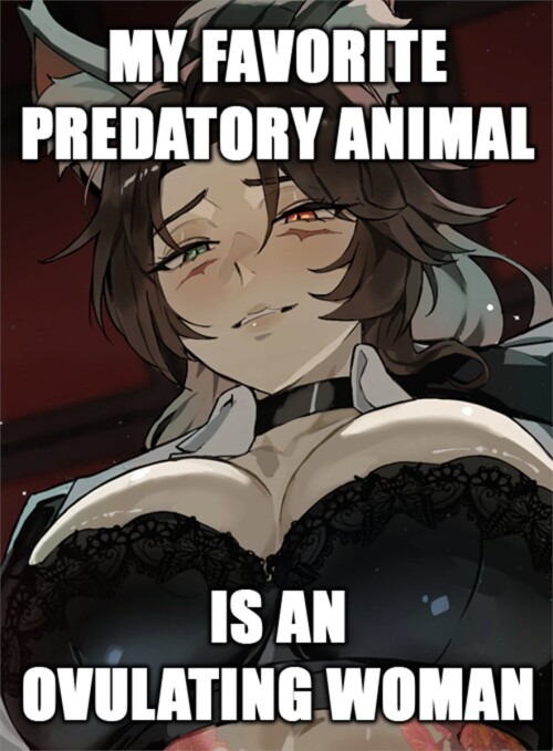 HHHfyCsWAAAB0 R