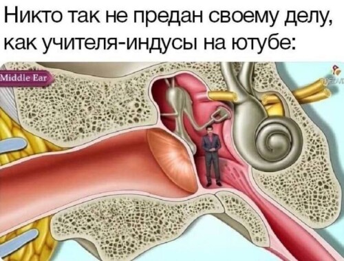 dD100z.jpeg