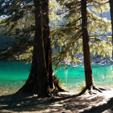 dHo7