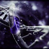dUex