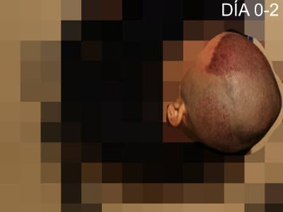 dnwf9.jpg