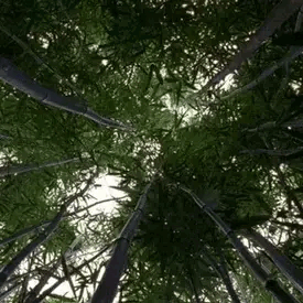 e1Rwmx.gif