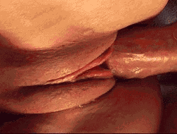fMjIB9.gif