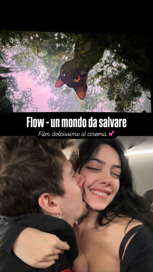 fVaZok.jpg