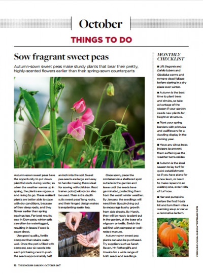 The English Garden October 2017 (4)