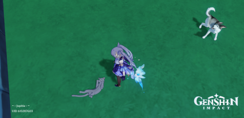202156145958