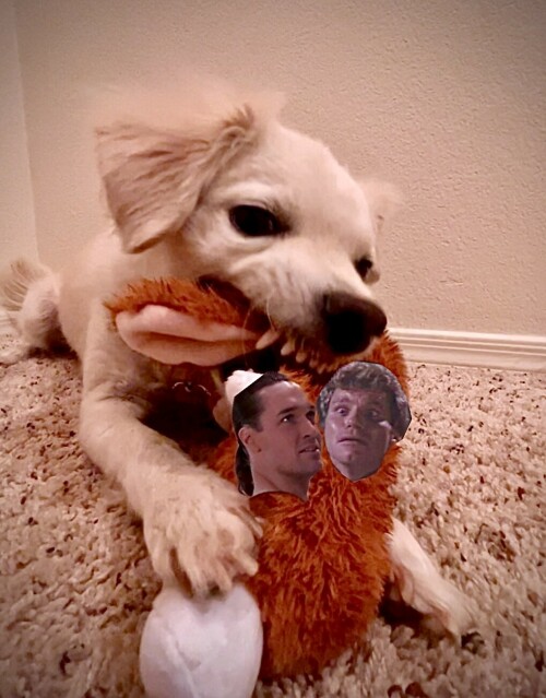 gsbBMq.jpg