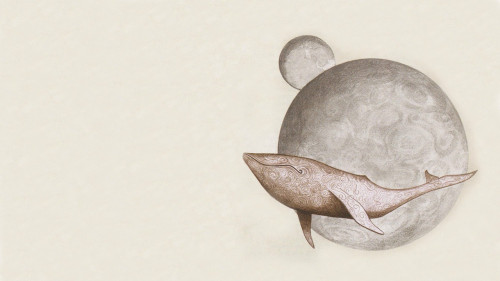 hI89.jpg