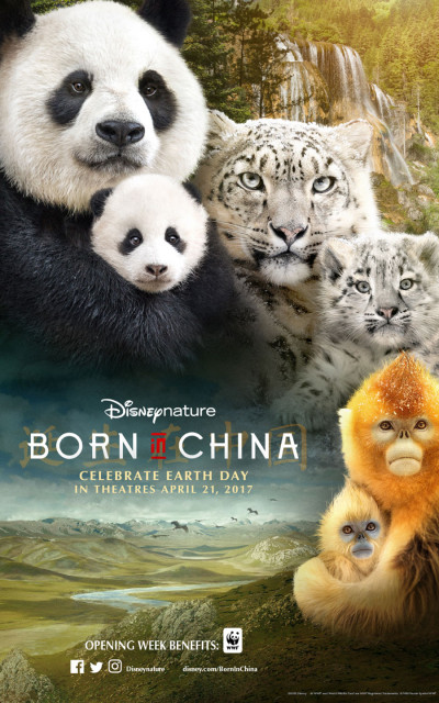 MOVIES Born in China poster