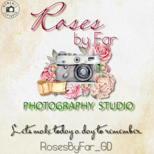 Roses Photography Banner copy