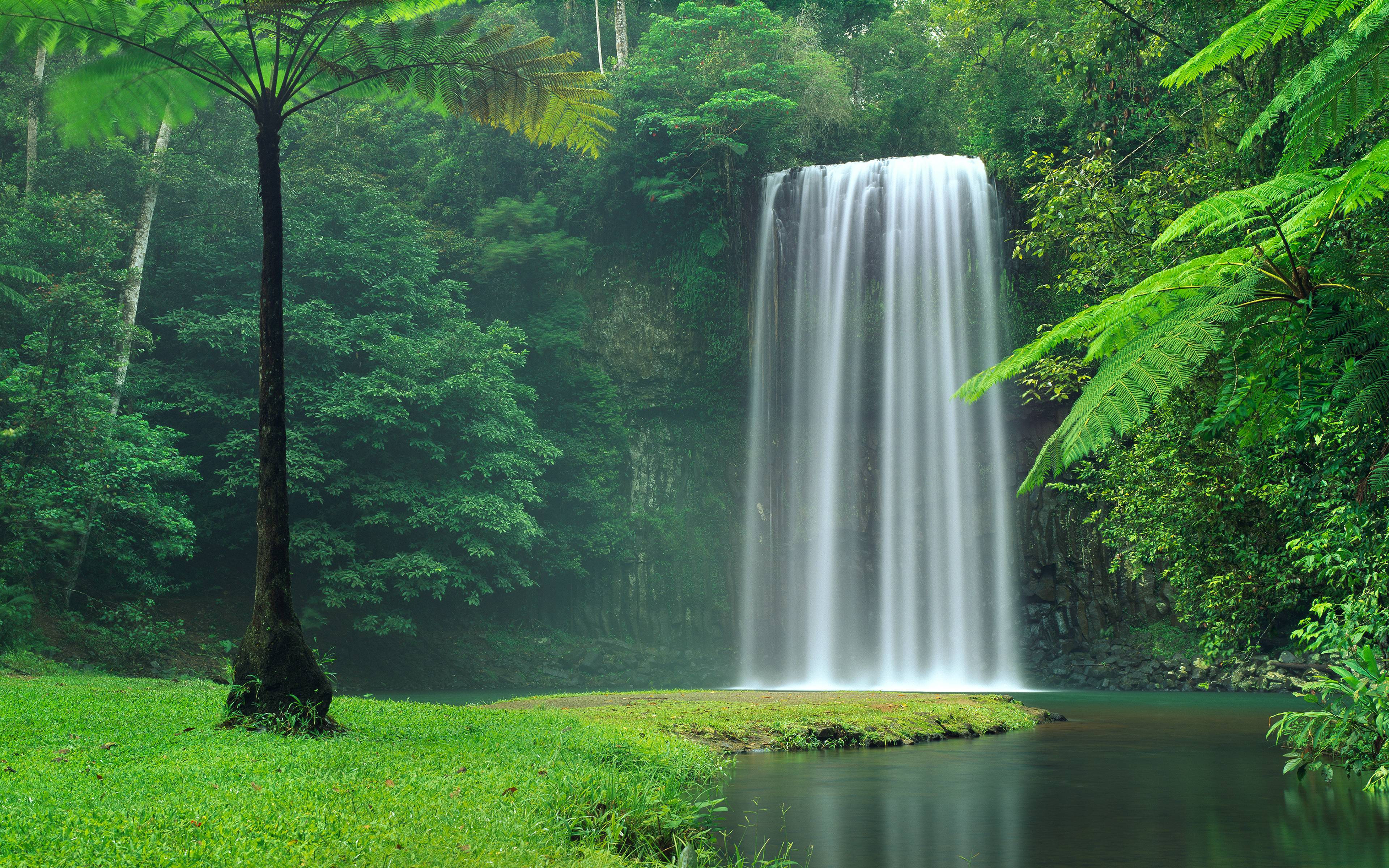 Видео на телефон природа. Водопад тропики. Красивые водопады. Сказочный водопад. Водопад в лесу.