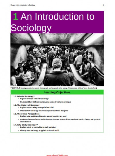 Introduction to Sociology, second edition (3)