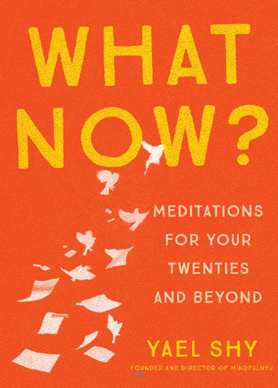 What Now Meditation for Your Twenties and Beyond (1)