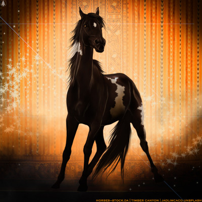 HEE Horse Avatar | Desert Storm
