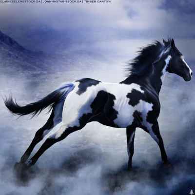 HEE Horse Avatar | Phantom's Hatred