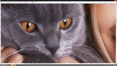 Screenshot of Talia's pussy at 8x 16 K resolution