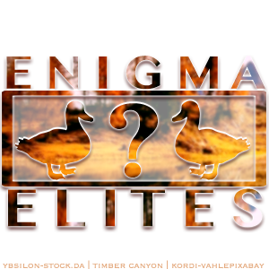 HEE Avatar | Enigma Elites