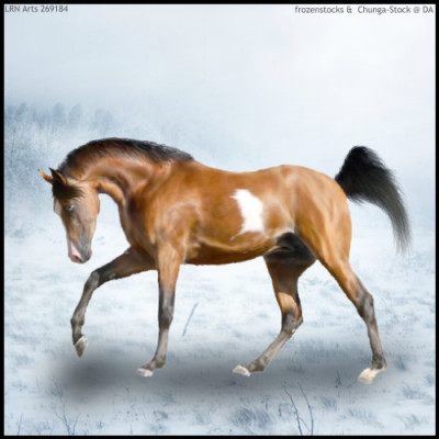 Jello Horse Avatar