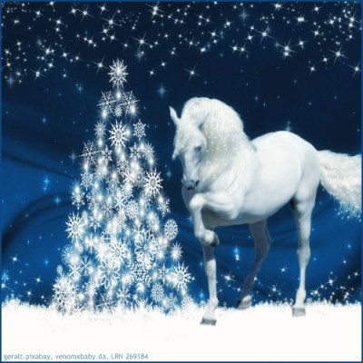 whitechristmas Horse Avi