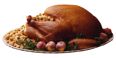 turkey dinner transparent image