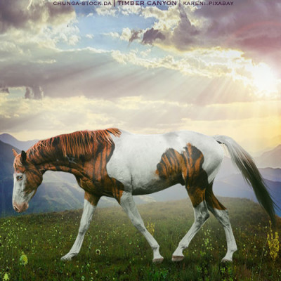 HEE Horse Avatar | Holy Heck, I'm BeautifulRS