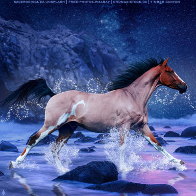HEE Horse Avatar | Sea The StarsRS
