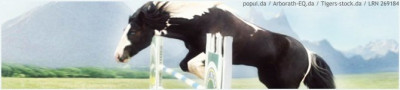 rsz superior equines banner