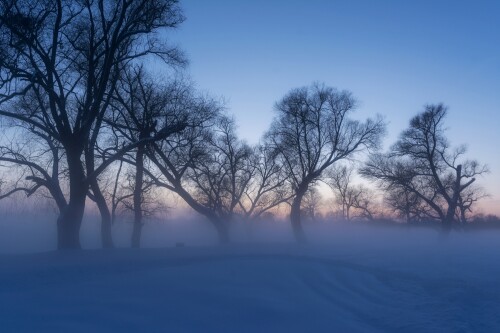 trees, snow, frost, oleksandr litvishko, wallpaper, 2000 x 1333