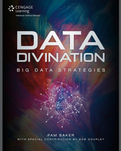 Data Divination Big Data Strategies (1)