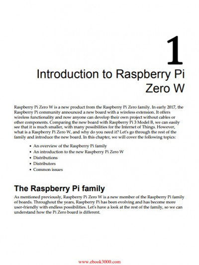 Raspberry Pi Zero W Wireless Projects (4)