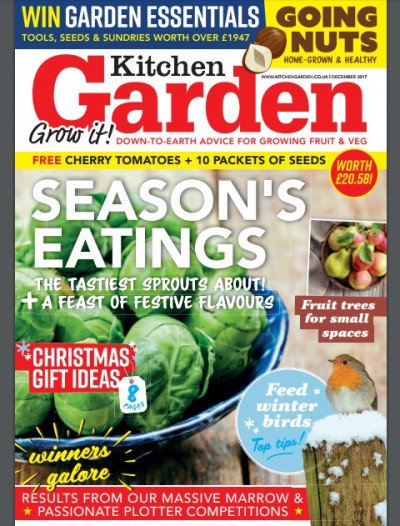Kitchen Garden December 2017 (1)