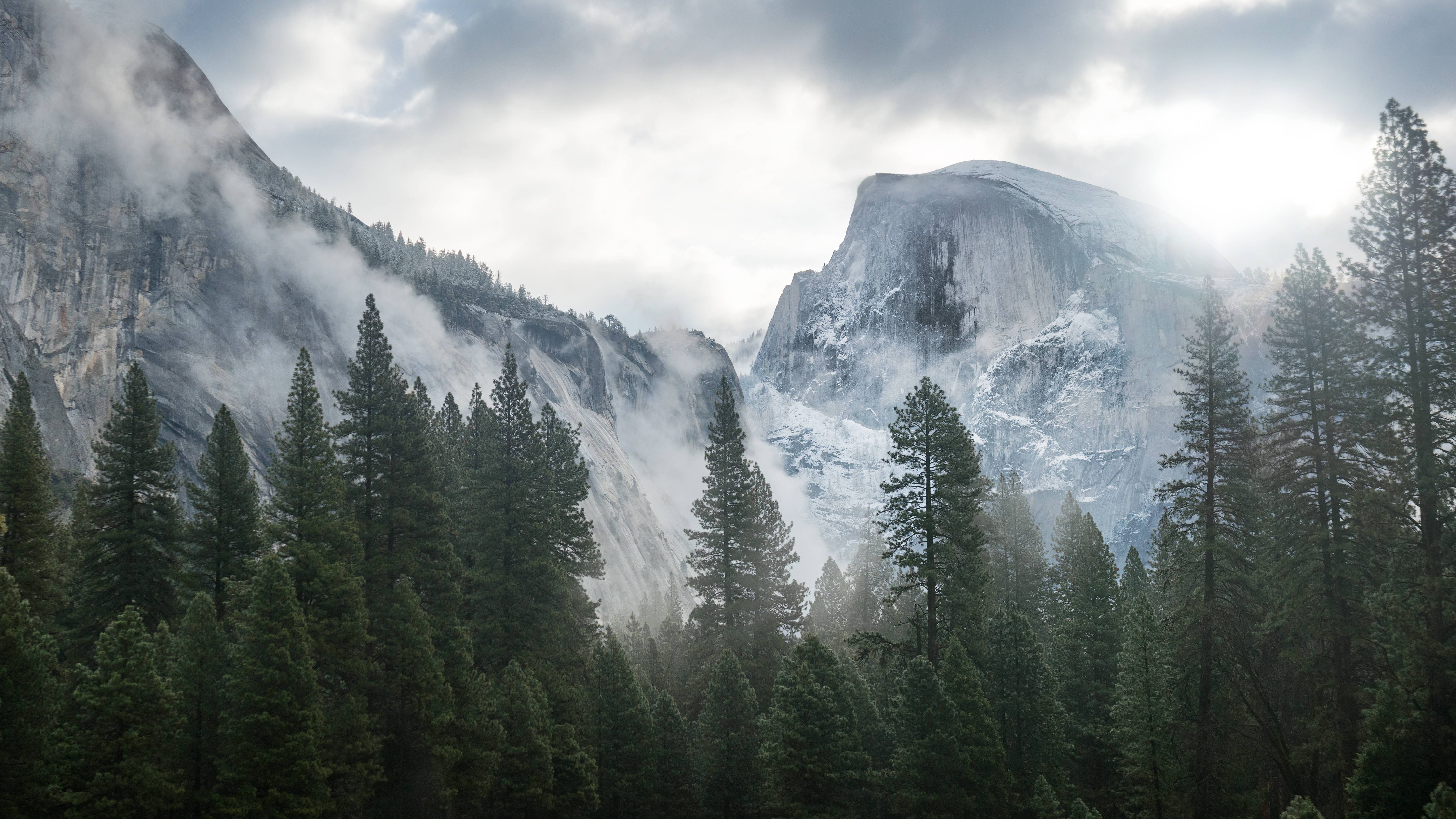 Only mountains. Горы Сьерра Невада Эппл. Йосемити хвойный лес. Мак ОС Йосемити. Национальный парк Йосемити в тумане.