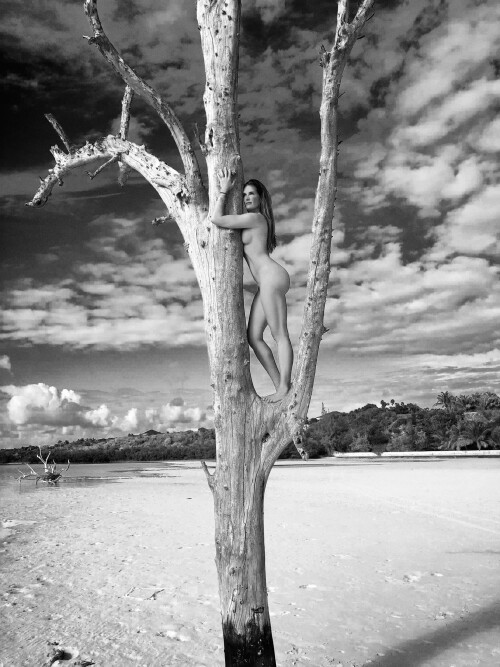 Brooke Shields tree 01
