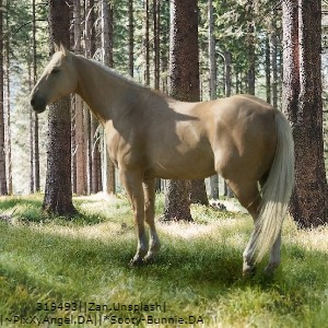 Palomino Horse In Green Stableavi