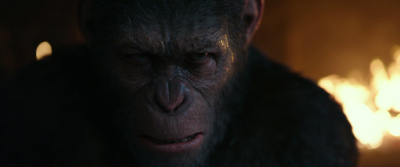 War for the planet of the apes 1080p vlcsnap 2017 10 13 18h24m06s744