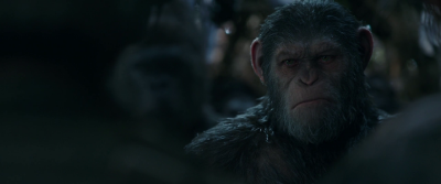 War for the planet of the apes 1080p vlcsnap 2017 10 14 15h52m52s775