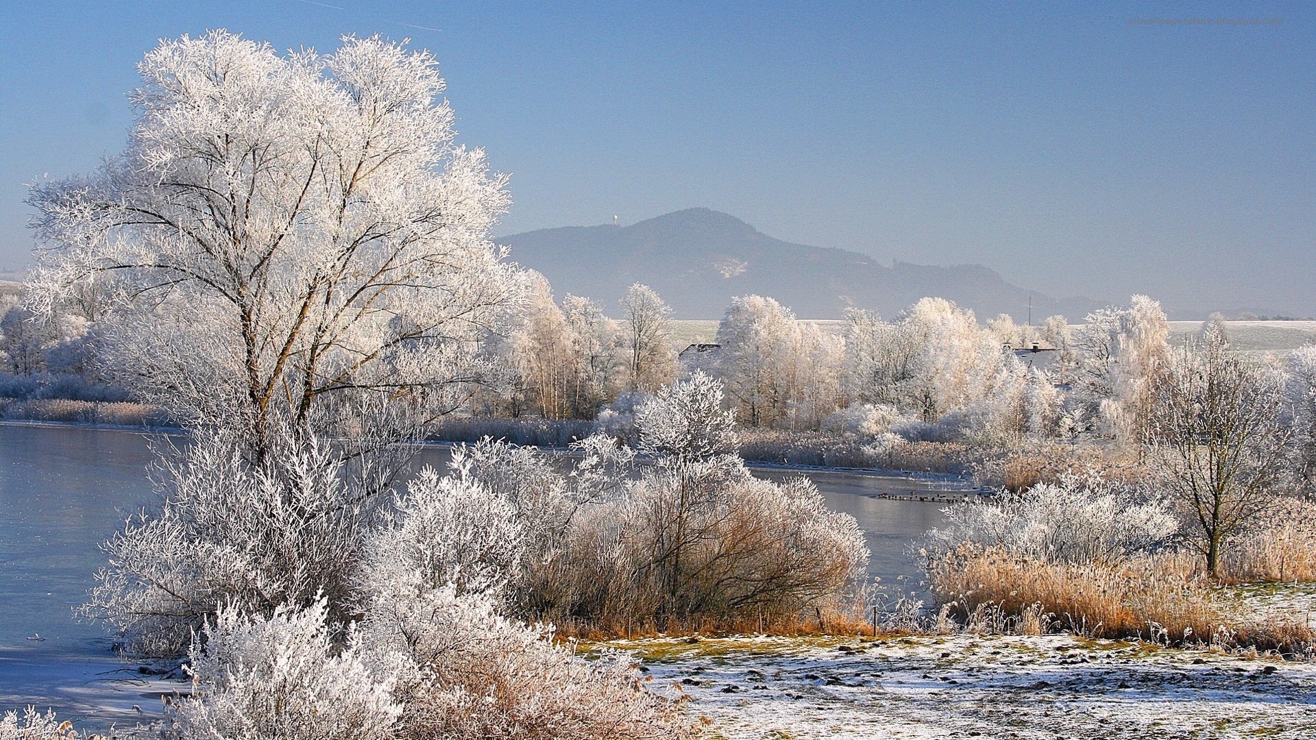 Природа природа в любое время года. Природа ранняя зима. Пейзаж ранняя зима. Время года зима. Ранняя зима фото.