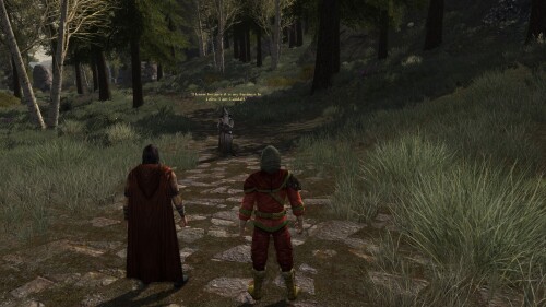 Aragorn meets Gandalf
