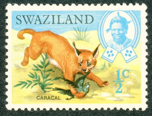 Swaziland 1969 #160 Caracal with bird