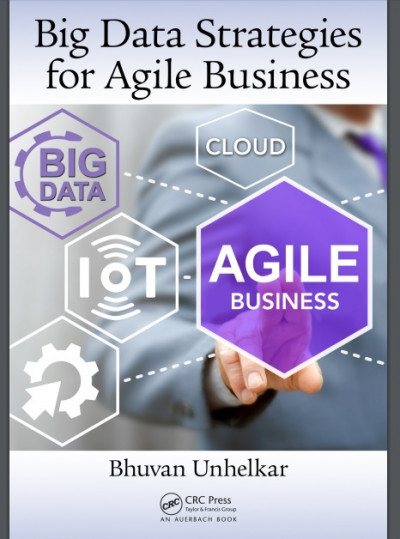 Big Data Strategies for Agile Business (1)