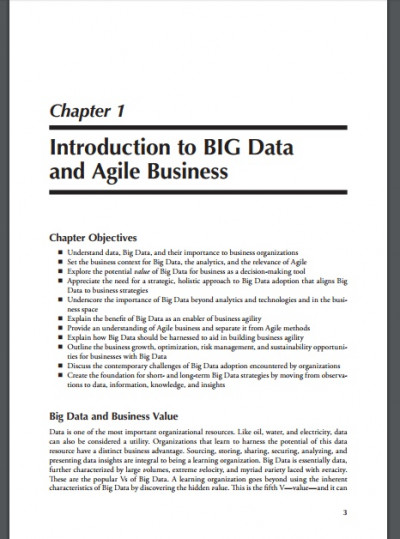 Big Data Strategies for Agile Business (4)