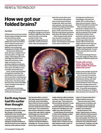 New Scientist October 7 13 2017 (4)