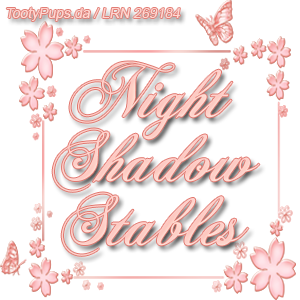 NightShadowStablesAvi