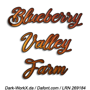 BlueberryValleyFarm