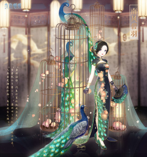02 Magnificent Peacock