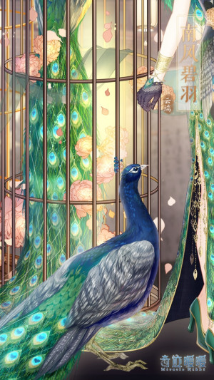 02 Magnificent Peacock