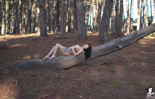 Download Beautiful Suicide Girl Coralinne Forest Nymph (35) High resolution lossless image