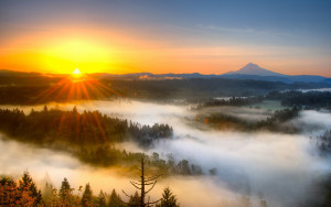 Sunrise & Mountain Fog